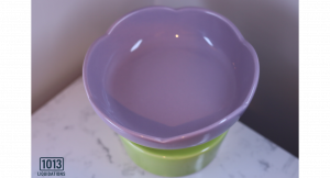 Raised Slow Feeder Cat Bowl, Ceramic Elevated and Titled Glass Food Bowl Small Dogs Slow Feeder, Flower Shaped Cute Cat Dish for Dry and Wet food